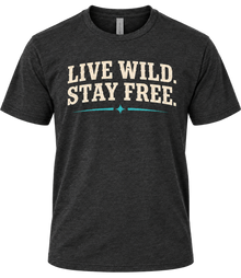 Room to Roam T-shirt in Heather Black, front view