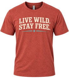 Room to Roam T-shirt in Heather Redwood, front view